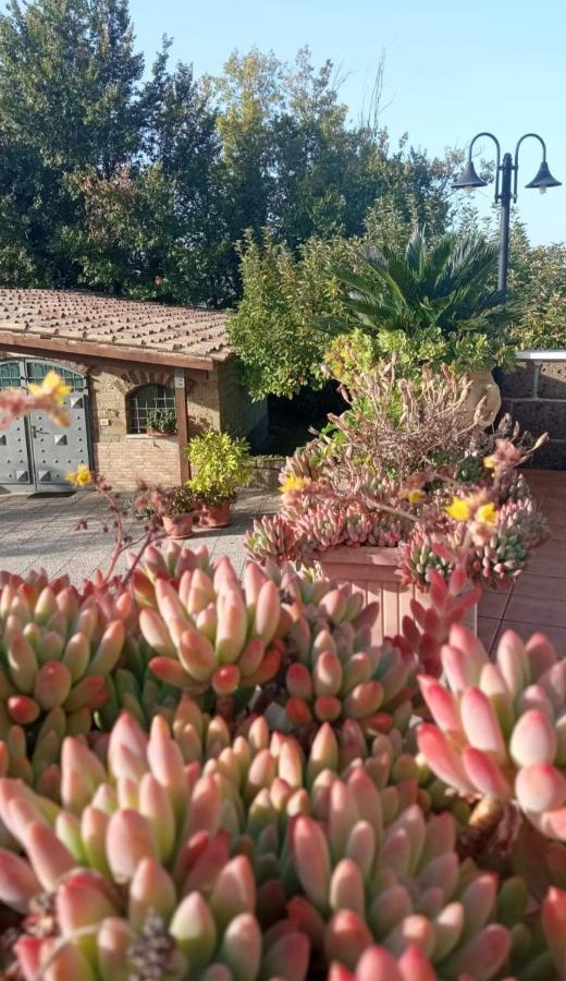 La Casa Sull'Aia,Av Bed & Breakfast Santo Stefano del Sole Exterior foto