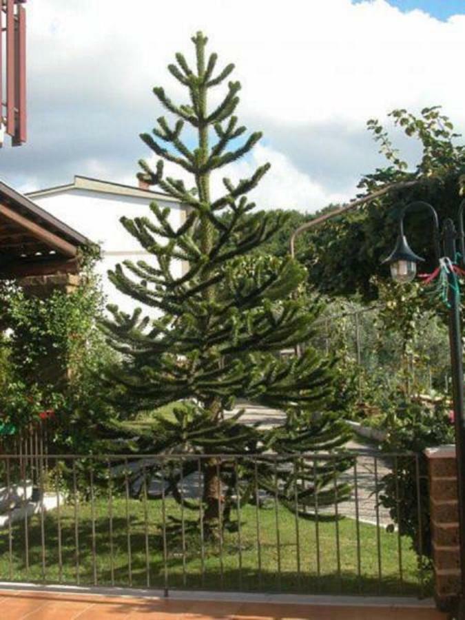 La Casa Sull'Aia,Av Bed & Breakfast Santo Stefano del Sole Exterior foto
